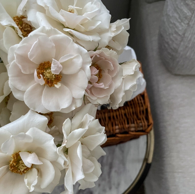 15 Ways To Cultivate A Modern Classic Life