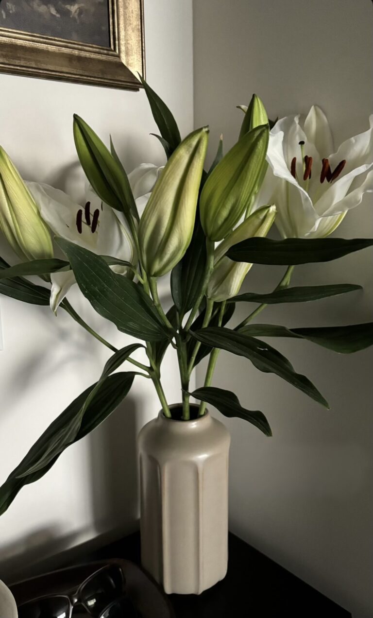 Curating Everyday Elegance