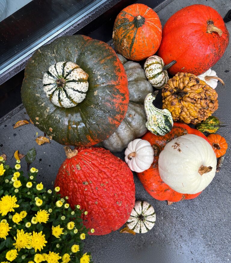 10 Ways to Slow Down and Savor Autumn