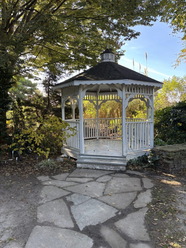 An Autumn Morning Walk