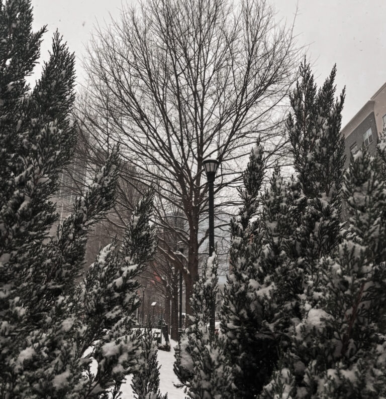 7 Ideas To Ease into Winter