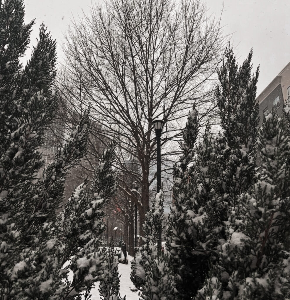 7 Ideas To Ease into Winter