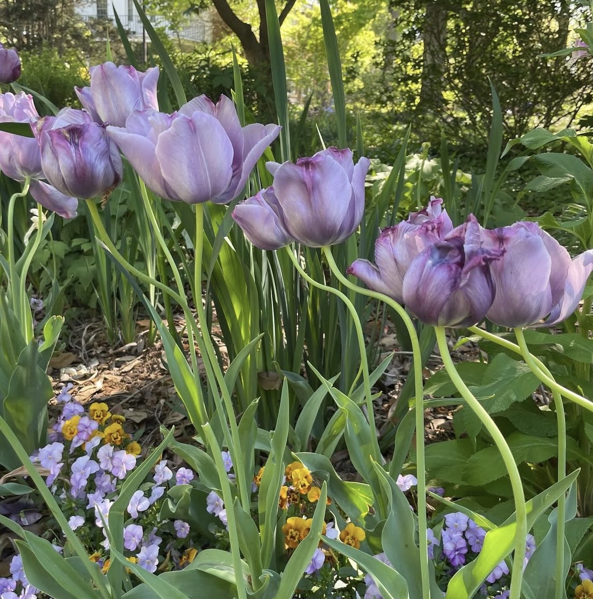 My Spring Reset: Things I’m Buying, Watching, and Looking Forward To